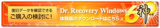 Dr.Recovery Windows Ver.6 _̎ ̌ł̃_E[h͂
